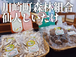 川崎町森林組合　仙人しいたけ サムネイル画像