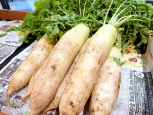 蔵王高原大根、明日入荷！！ サムネイル画像