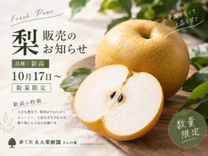 【秋の味覚『梨』が入荷します】 サムネイル画像