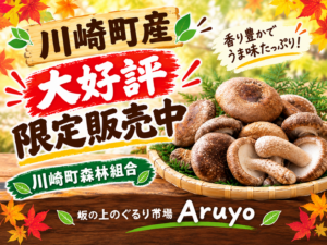 大好評につきしいたけ再入荷！ サムネイル画像