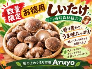 川崎町森林組合さんのしいたけが入荷しました サムネイル画像